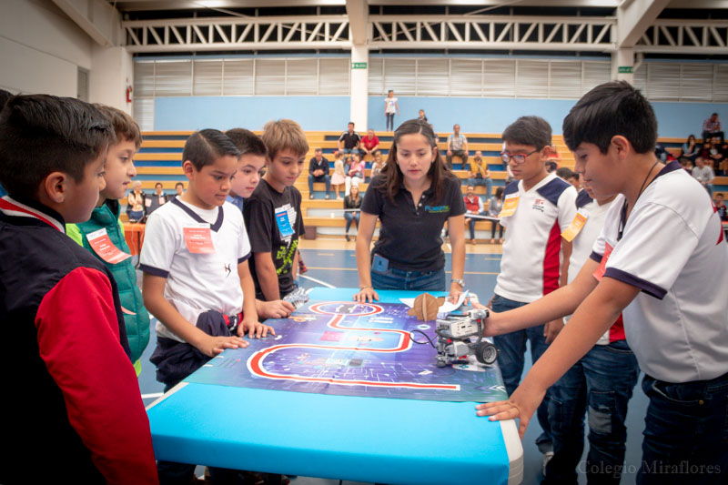 Ir a la Siguiente Foto