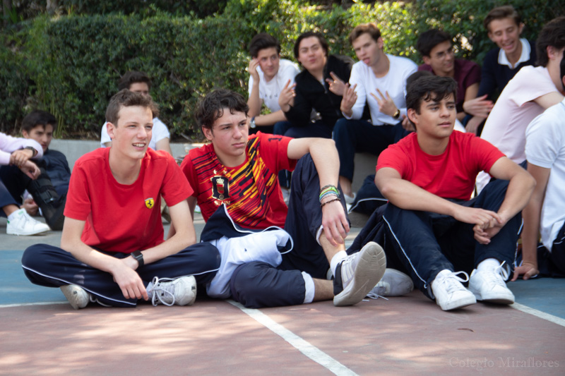 Ir a la Siguiente Foto