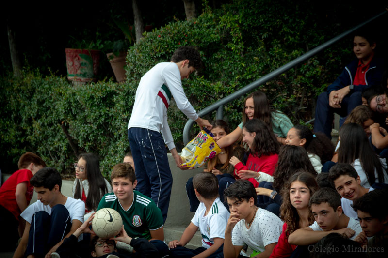 Ir a la Siguiente Foto
