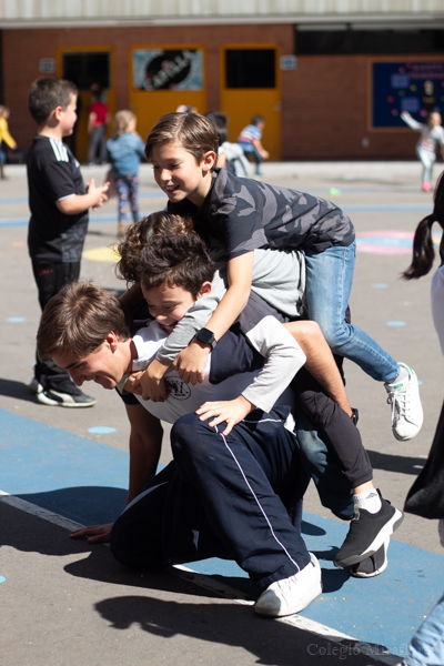 Ir a la Siguiente Foto