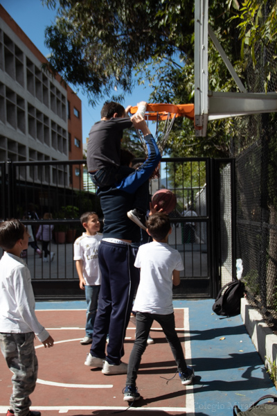 Ir a la Siguiente Foto