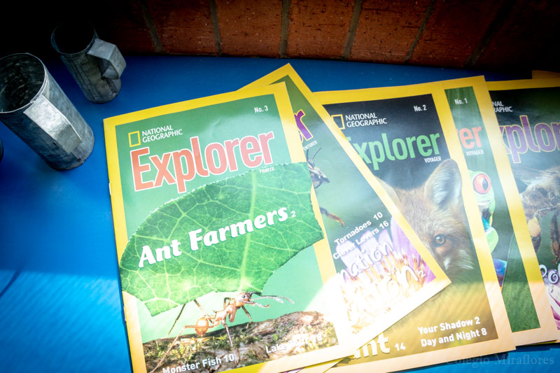 Ir a la Siguiente Foto