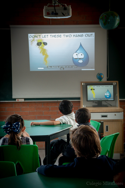 Ir a la Siguiente Foto