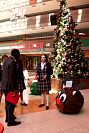 10122019IMG_2687.jpg