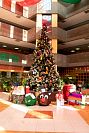 10122019IMG_2700.jpg
