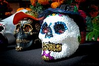 30102019festejo_dia_muertos_primaria201966.jpg