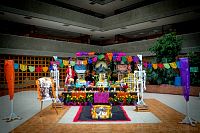 31102019festejo_dia_muertos_primaria2019292.jpg