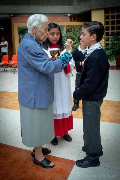 Ir a la Siguiente Foto