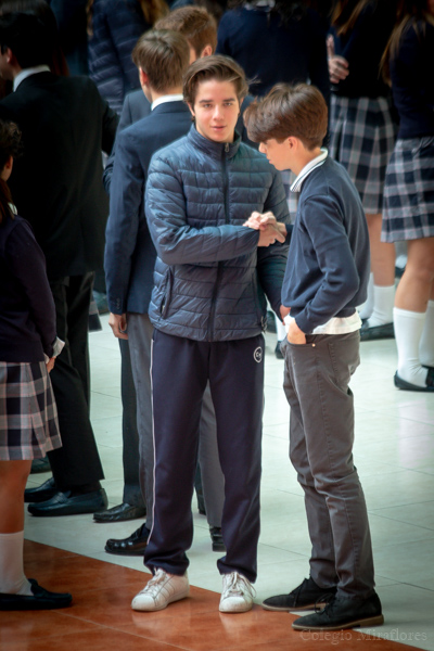 Ir a la Siguiente Foto