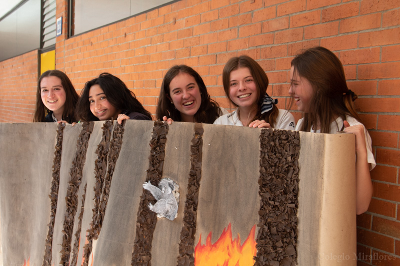 Ir a la Siguiente Foto