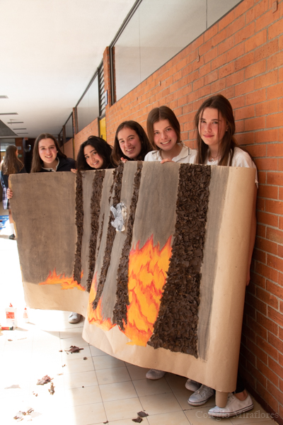 Ir a la Siguiente Foto