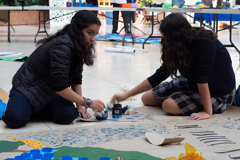 Ir a la Siguiente Foto