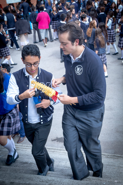 Ir a la Siguiente Foto