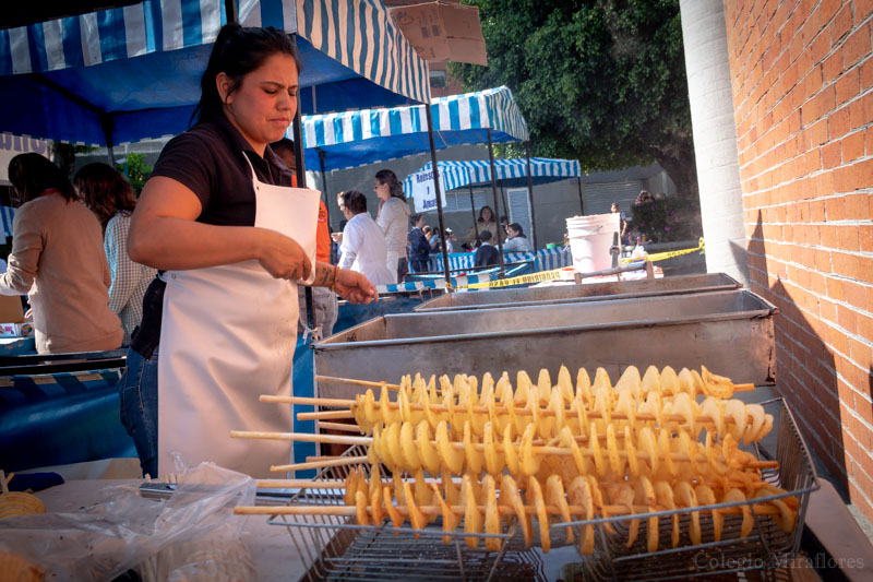 Ir a la Siguiente Foto