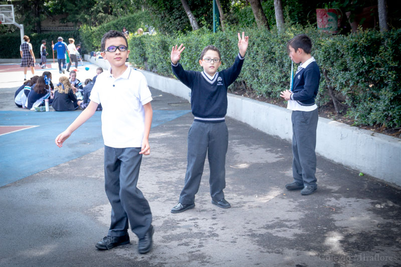 Ir a la Siguiente Foto