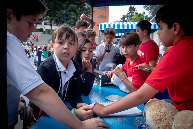 Ir a la Siguiente Foto
