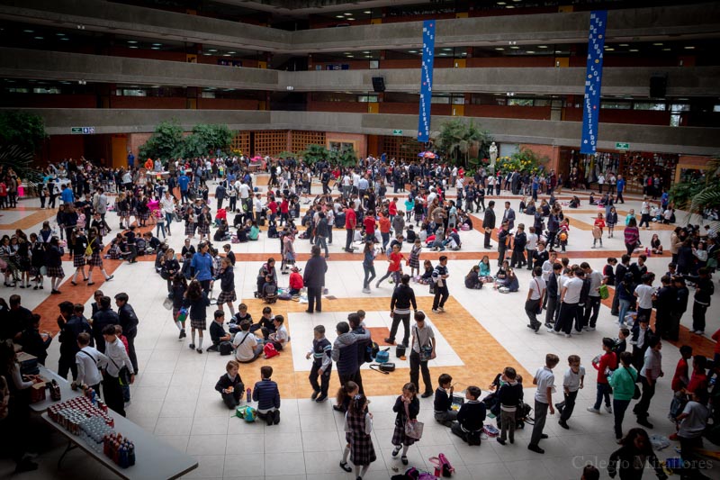 Ir a la Siguiente Foto