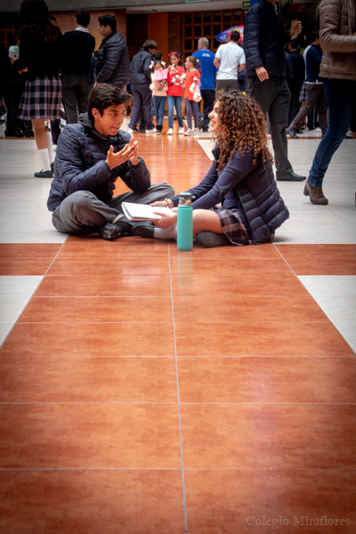 Ir a la Siguiente Foto