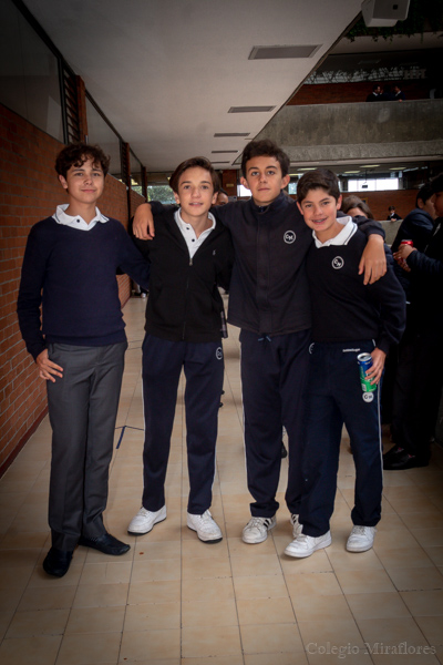 Ir a la Siguiente Foto