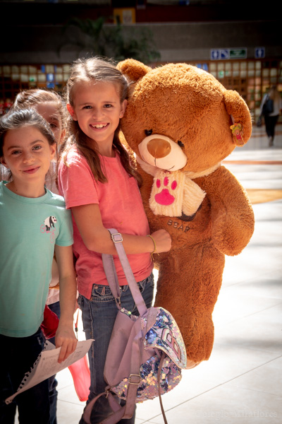 Ir a la Siguiente Foto