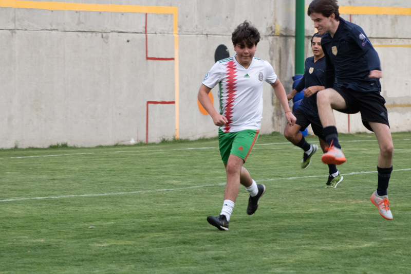 Ir a la Siguiente Foto