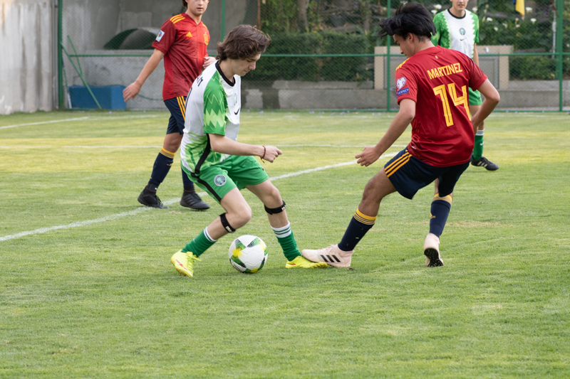 Ir a la Siguiente Foto