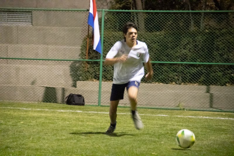 Ir a la Siguiente Foto