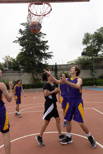 Ir a la Siguiente Foto