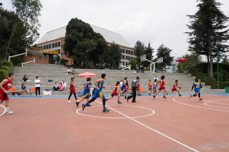 Ir a la Siguiente Foto