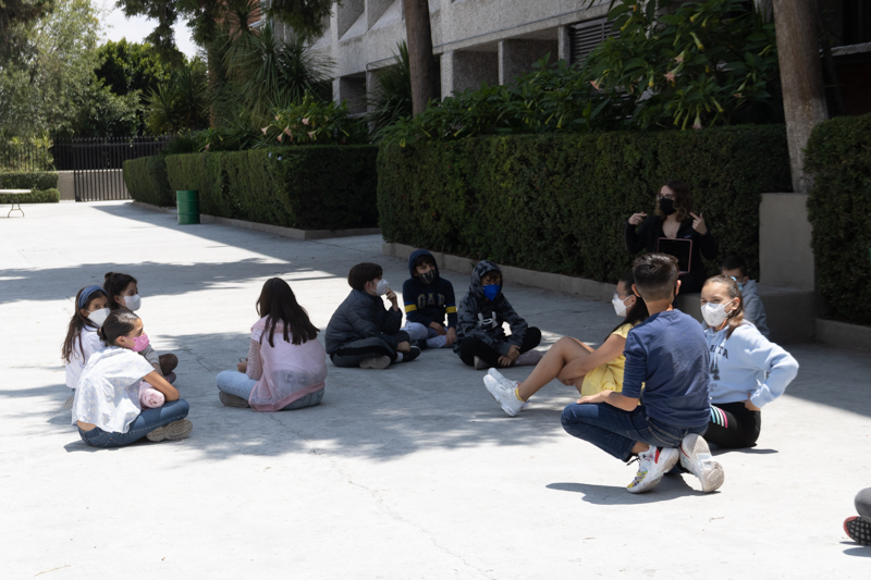 Ir a la Siguiente Foto