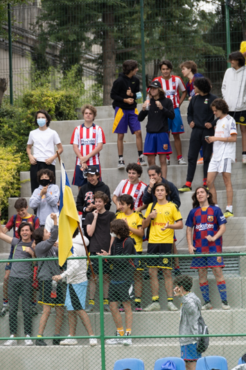 Ir a la Siguiente Foto