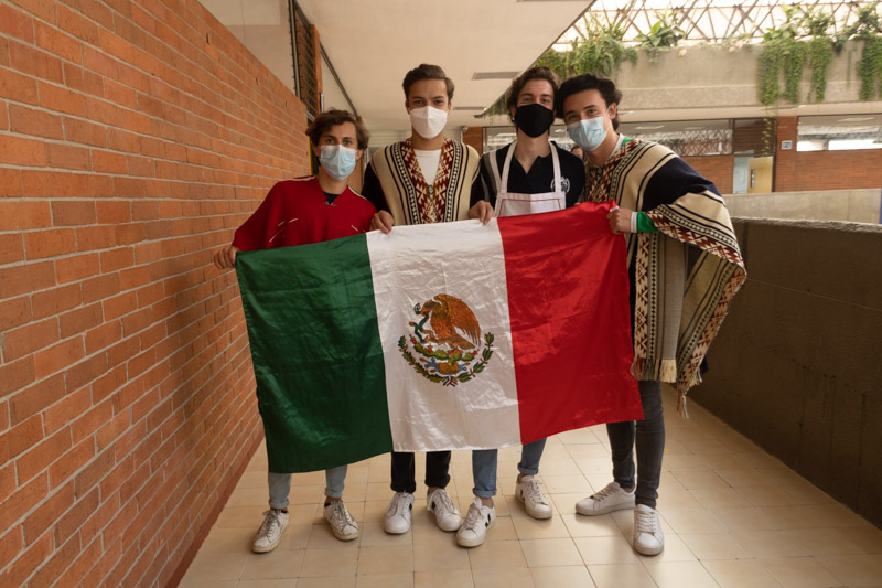 Ir a la Siguiente Foto