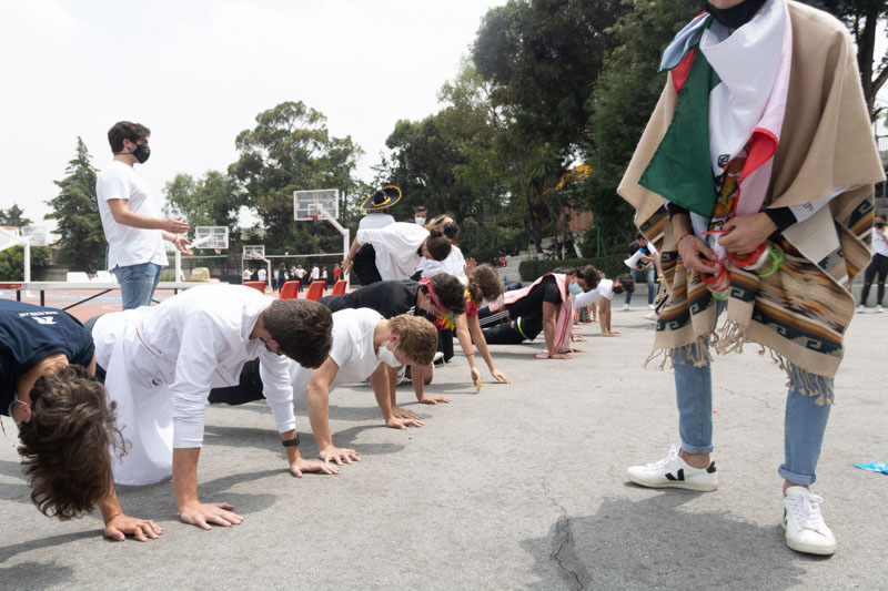 Ir a la Siguiente Foto