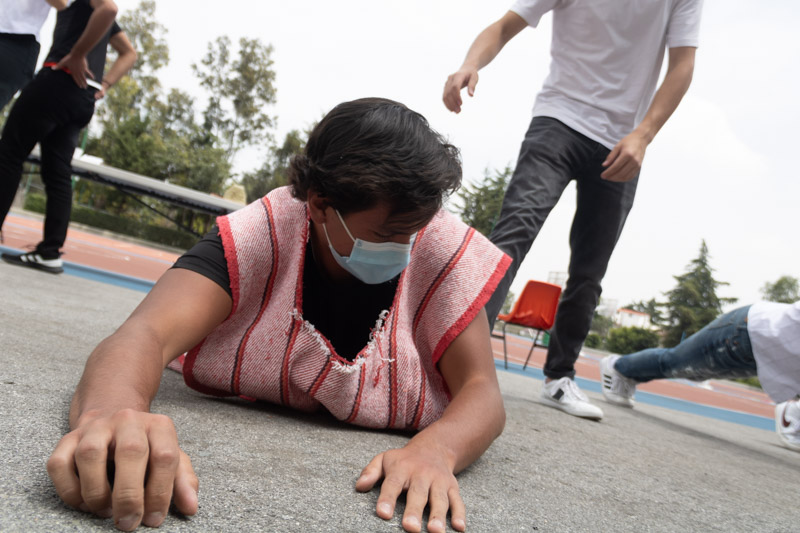 Ir a la Siguiente Foto