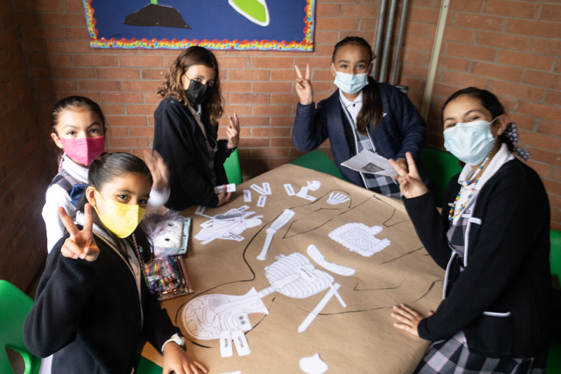 Ir a la Siguiente Foto