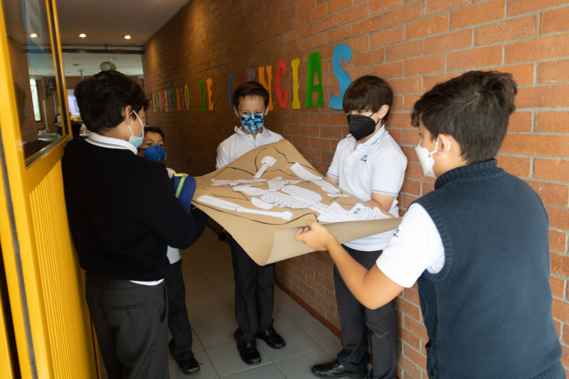 Ir a la Siguiente Foto