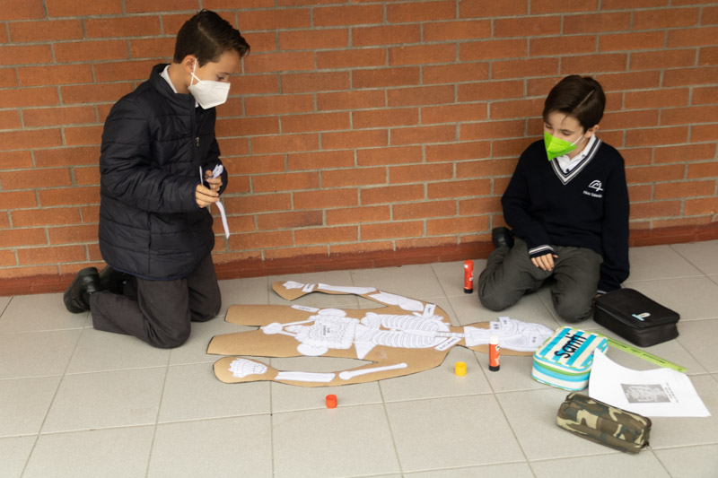 Ir a la Siguiente Foto