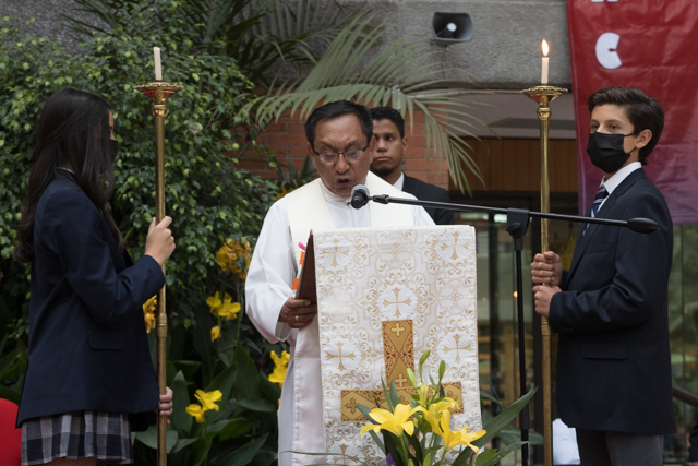 Ir a la Siguiente Foto