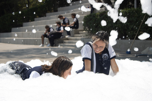 Ir a la Siguiente Foto