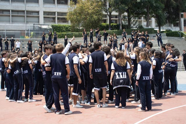 Ir a la Siguiente Foto