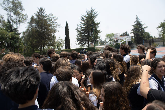 Ir a la Siguiente Foto