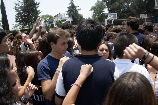 Ir a la Siguiente Foto