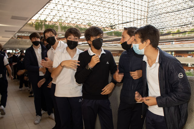 Ir a la Siguiente Foto