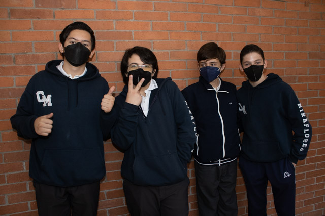 Ir a la Siguiente Foto