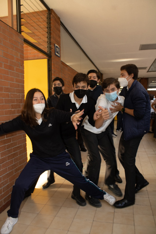 Ir a la Siguiente Foto