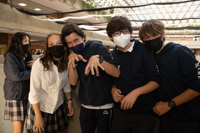 Ir a la Siguiente Foto