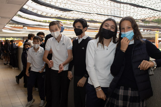 Ir a la Siguiente Foto