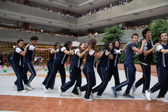 Ir a la Siguiente Foto