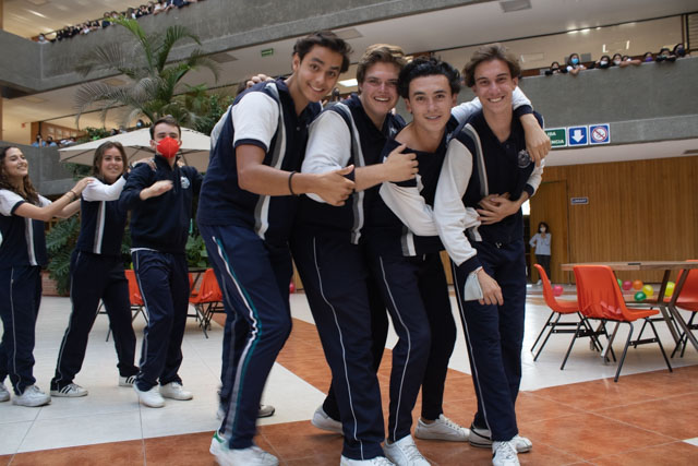 Ir a la Siguiente Foto