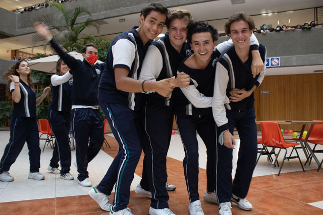 Ir a la Siguiente Foto